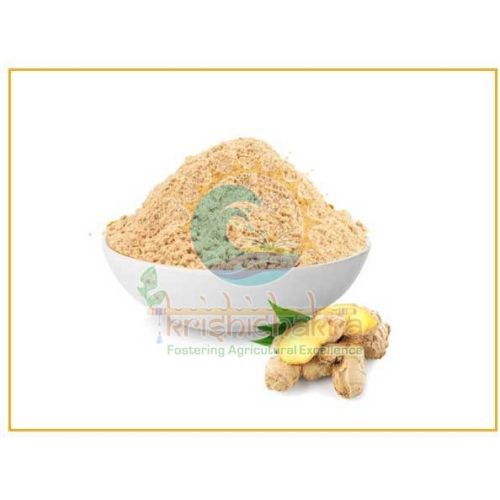 Cream Dehydrated Ginger Powder