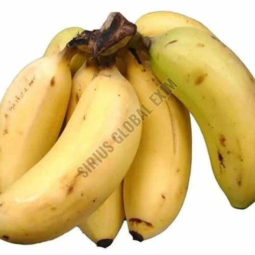 A Grade Organic Rasthali Banana