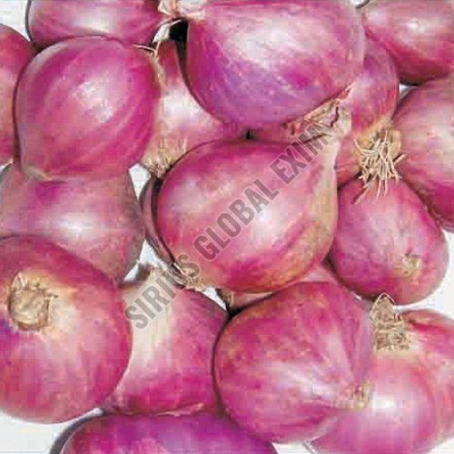 A Grade  Sambar Onion