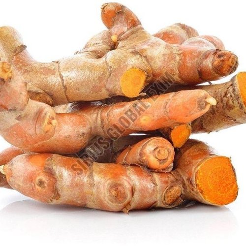 Fresh Erode Turmeric