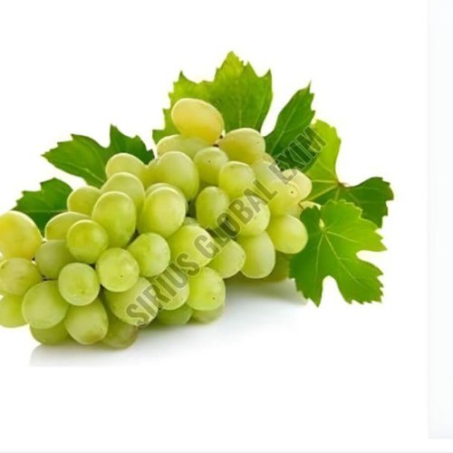 Fresh Green Grapes