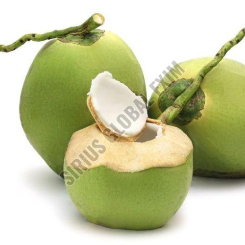 Fresh Tender Coconut
