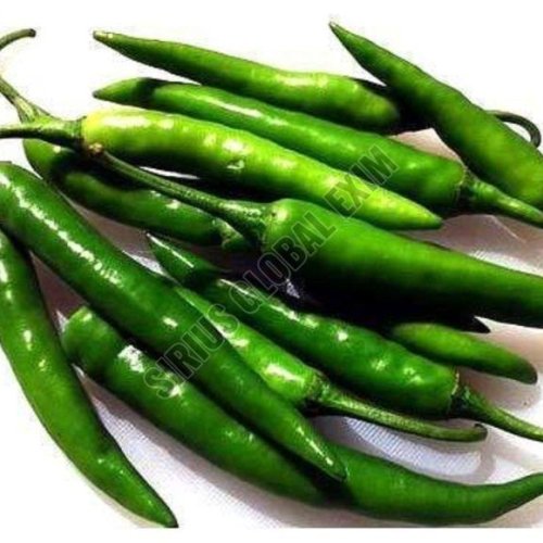 Organic Green Chilli