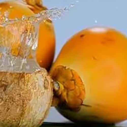 Sev Elaneer Tender Coconut