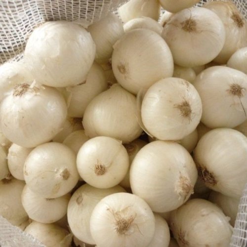 A Grade Fresh White Onion
