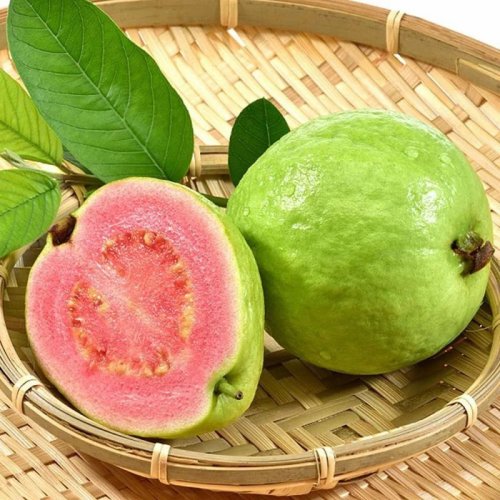 A Grade Organic Pink Guava