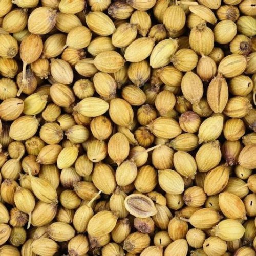 Dried Organic Coriander Seed