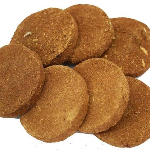Desi HF Cow Dung Cake