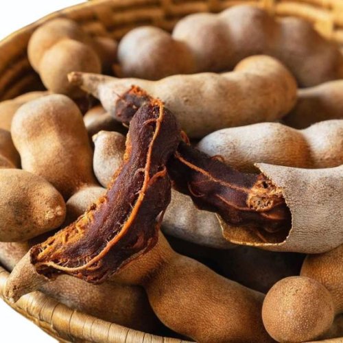 Fresh Tamarind