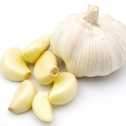 Fresh Garlic Bulbs