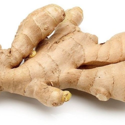 Fresh Ginger Root