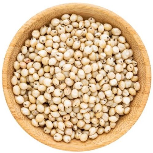 Jowar Seeds