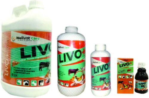Wellvet Care Veterinary Liver Tonic