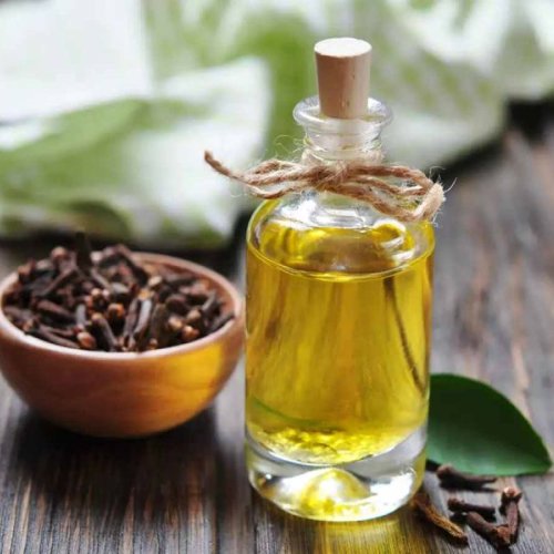 Clove Oil
