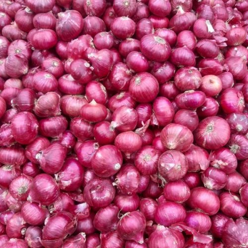 Fresh Red Onion
