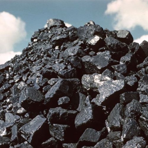 Steam Coal