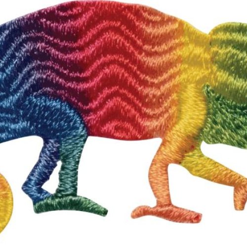 coloreel embroidery digitizing service
