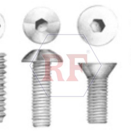 SS Allen Cap Screw