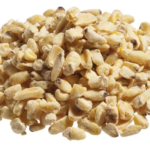 Corn Germ