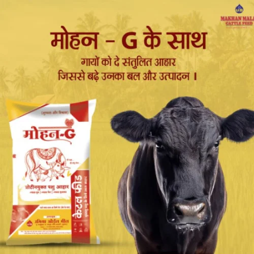 Mohan G Maize Oil Cake