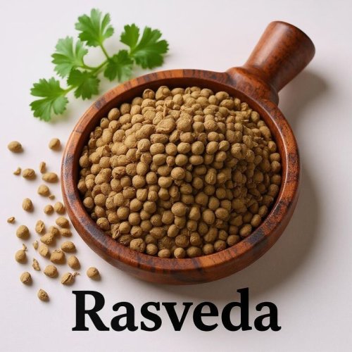 Rasveda Dried Organic Whole Coriander Seed