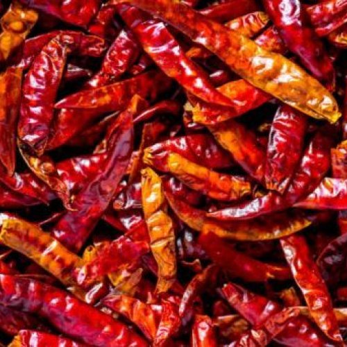 Guntur Dry Red Chilli