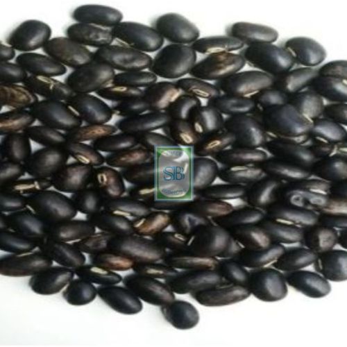 Black Mucuna Pruriens Seed