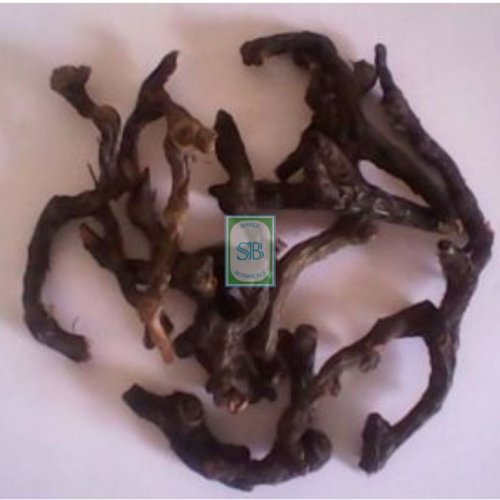 Cyperus Scariosus Root