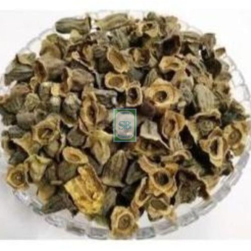 Dried Careya Arborea