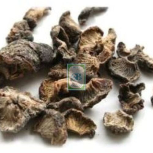 Dry Emblica Officinalis