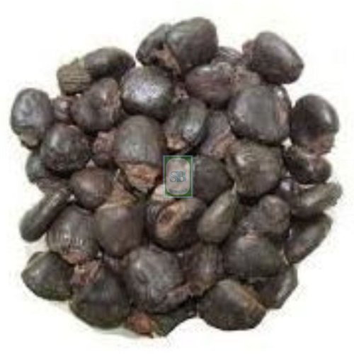 Semecarpus Anacardium