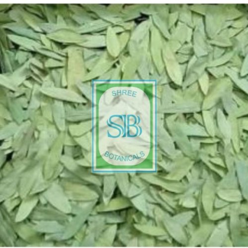 Senna Leaves