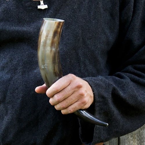 Buffalo Horn Viking Drinking Horn