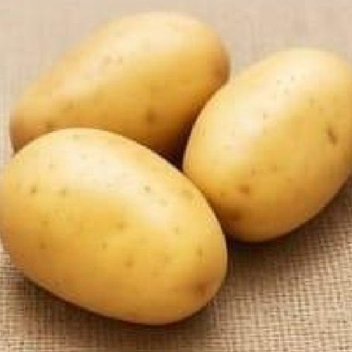 Chipsona Potato