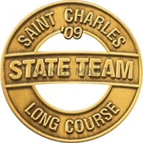 Brass School Badges