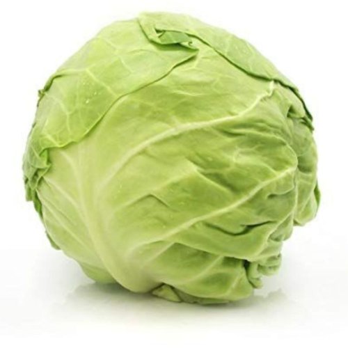 Green Leaf Cabbage