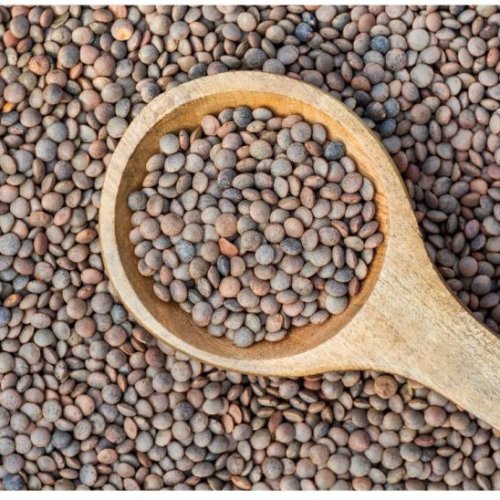 Brown Whole Masoor Dal