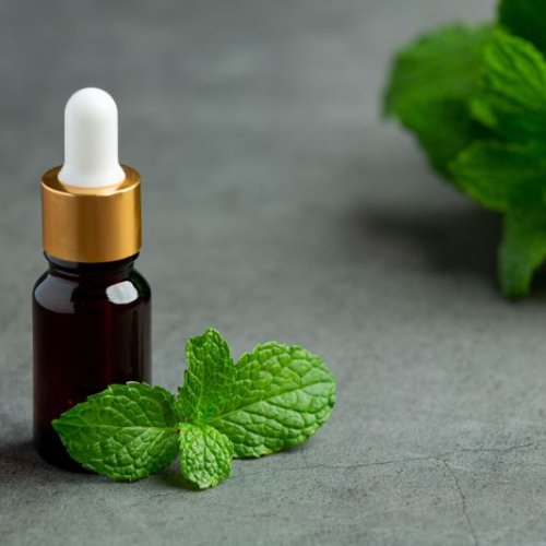 Basil Essential Oil