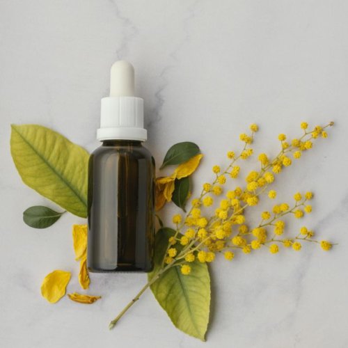 Jasmine Sambac Absolute Oil Jasmine Sambac Absolute Oil