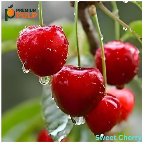 Frozen Sweet Cherry