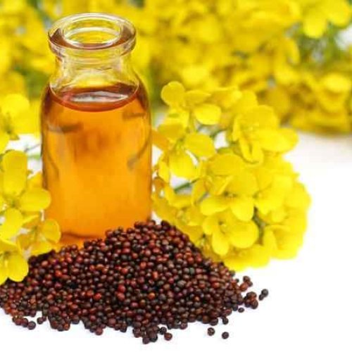 Expeller Pressed Black Mustard Oil