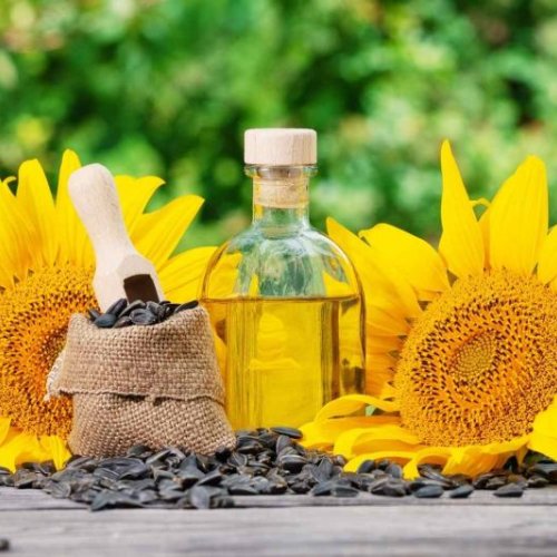 Refined Sunflower Oil