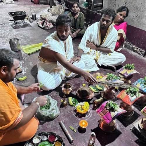 Naga Dosha Shanti Pooja Service