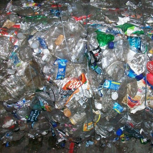 PET Bottle Scrap