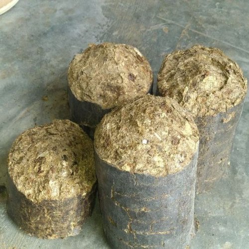 Agro Waste Biomass Briquettes