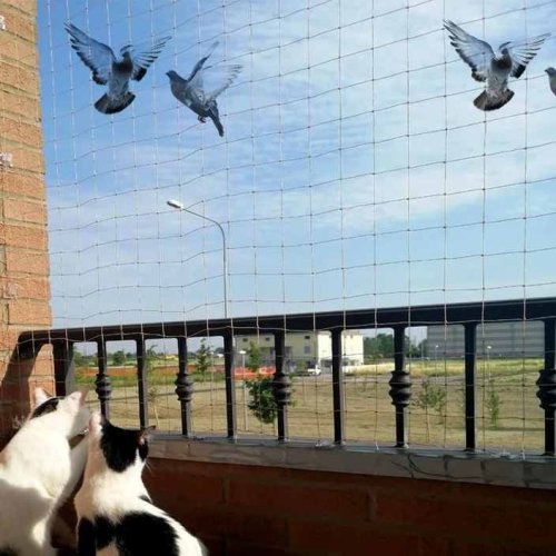 Pigeon Balcony Safety Nets Installation Service