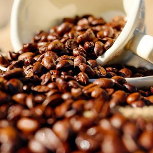 CH7AB Arabica Coffee Beans