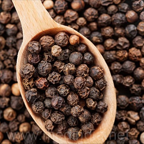 Pattani Black Pepper Seeds