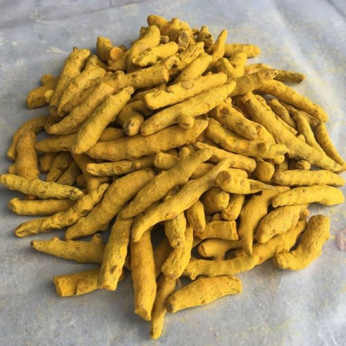 Polished Turmeric Finger