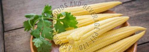 Frozen Baby Corn